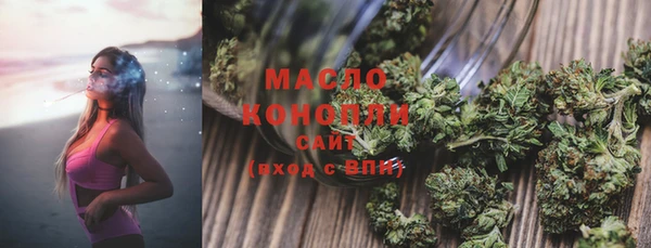 твердый Ельня
