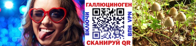 Галлюциногенные грибы Magic Shrooms  kraken как зайти  Кыштым 